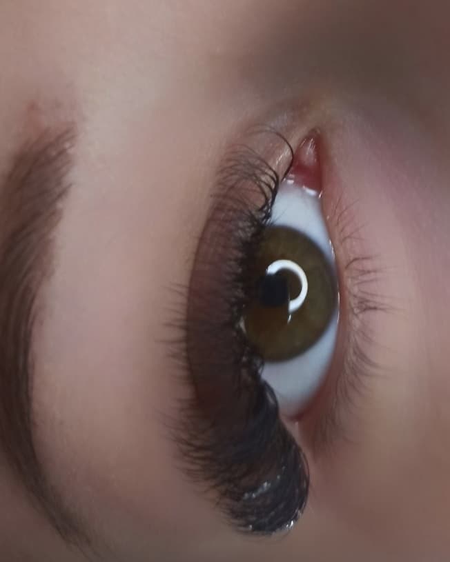 Lashes