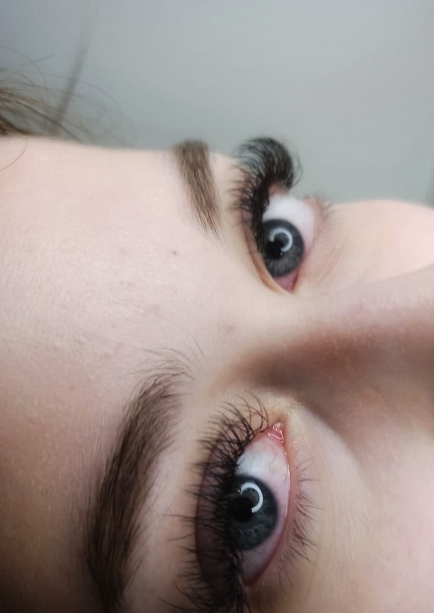 Lashes